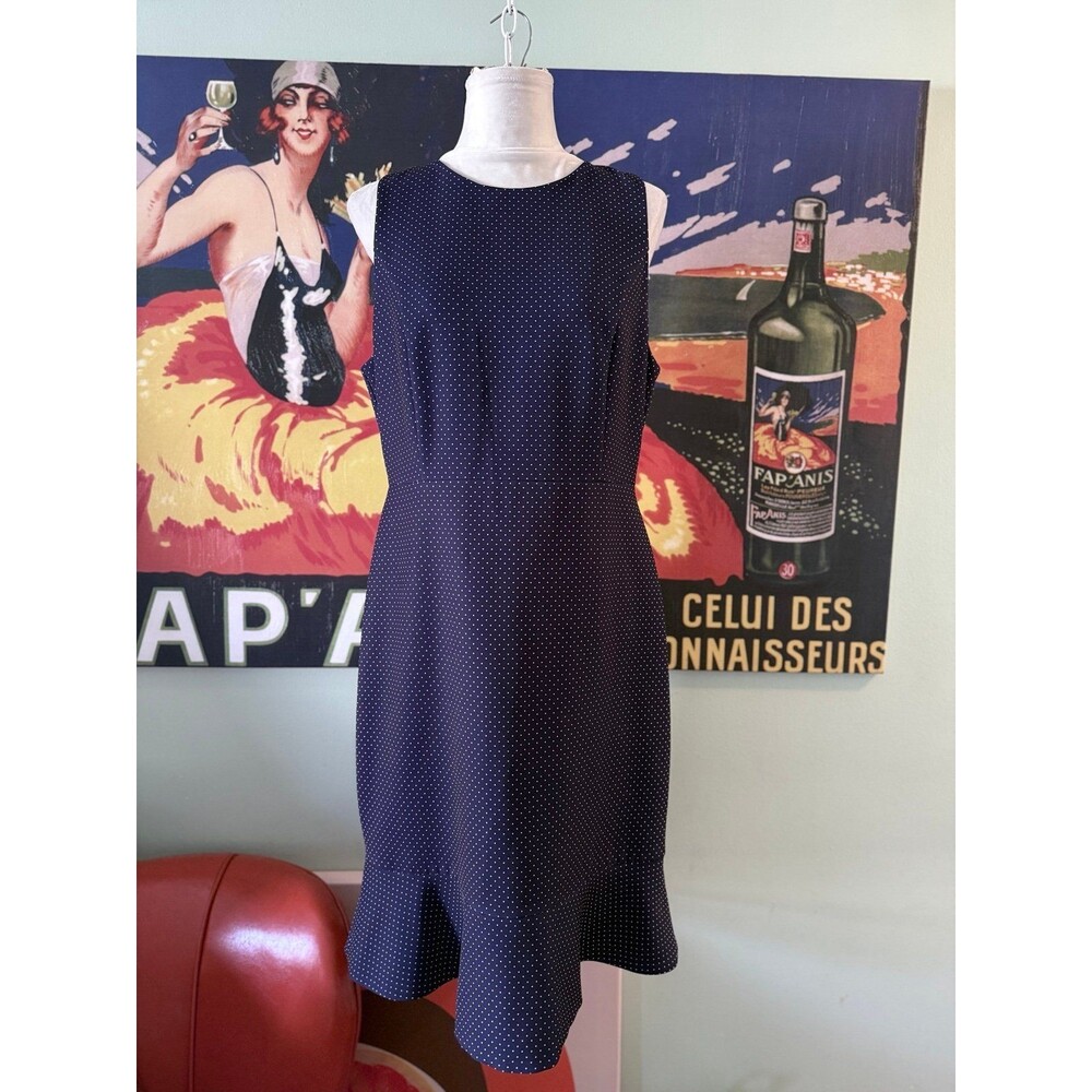 J Crew Dress